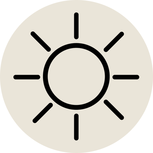 Seasonal Specials Icon